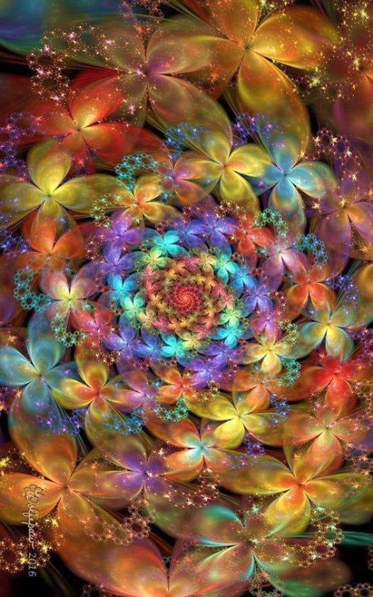 92198828_2787155691392354_6565701318390841344_n
