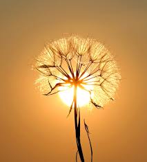 images (9)